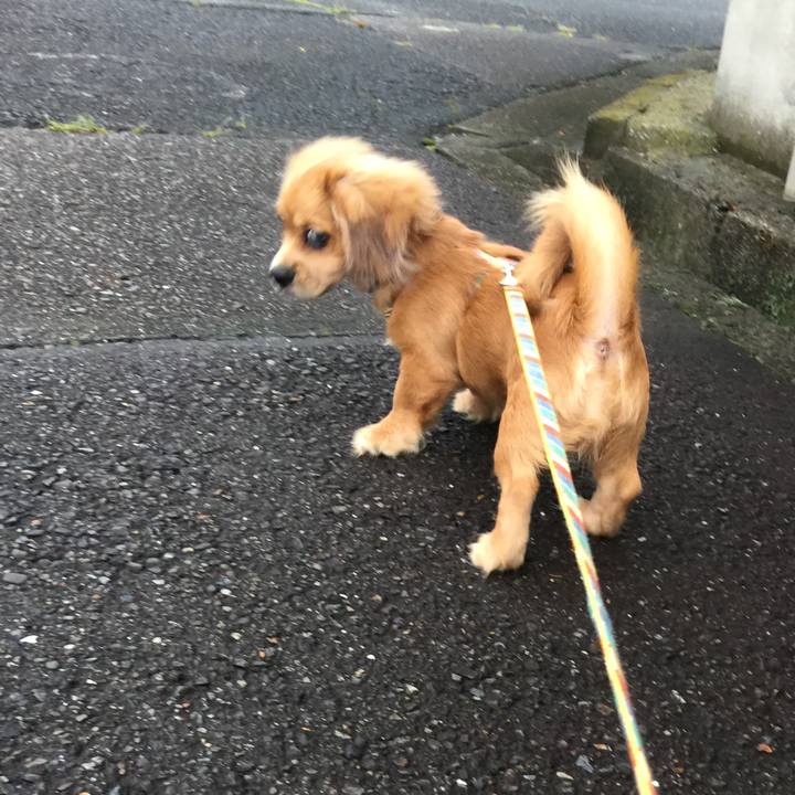 Ee06aeef 436c 4145 bfc3 3cfcd4e4fa18