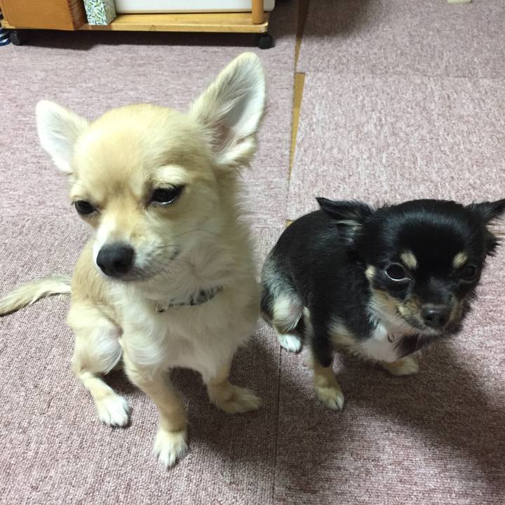 Ee06affa 7c4e 417a 9ec5 e161ec31beff