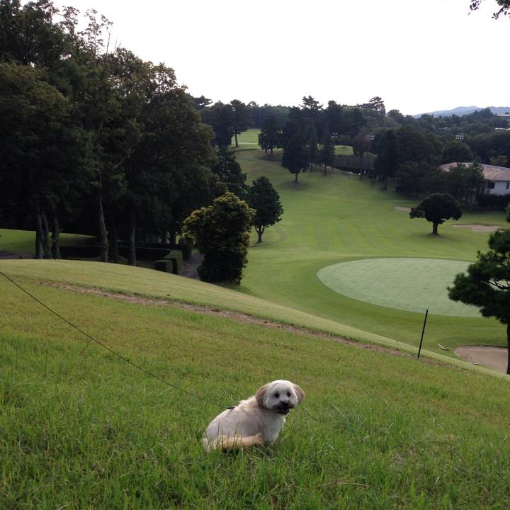 Ee071acd f555 492f 9bf3 da5a248916e0