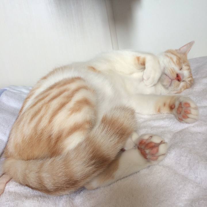 Ee07312a 7e9f 46bd 82c4 7f79e08c175d