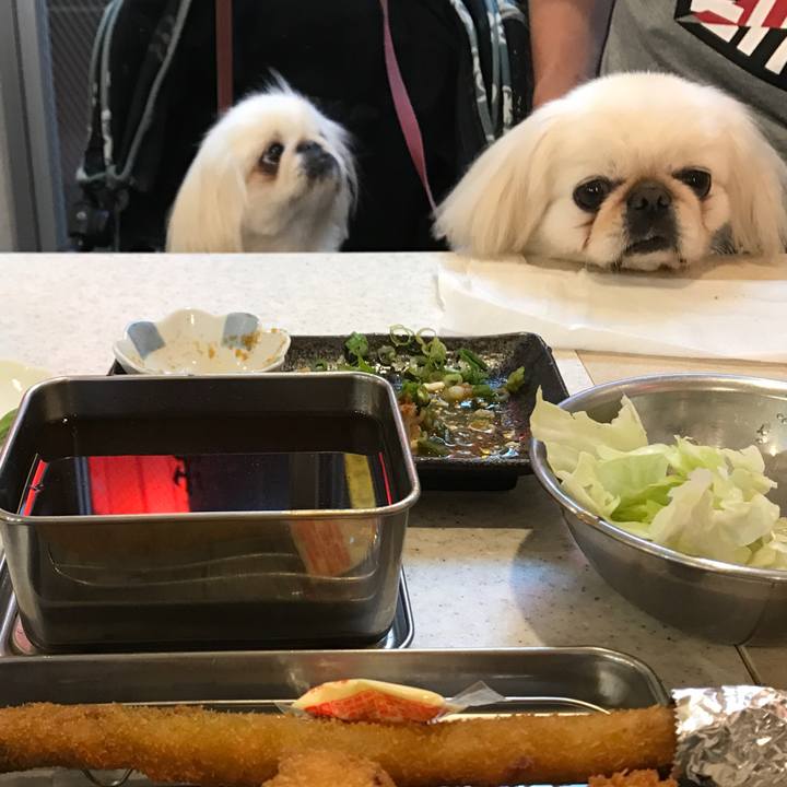 Ee077ad8 3352 4106 bcaa 609fd8bbde18