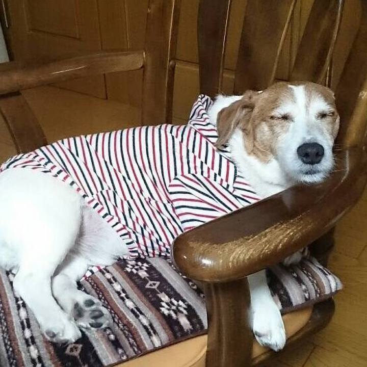 Ee079982 836e 435a bea4 75384f056a74