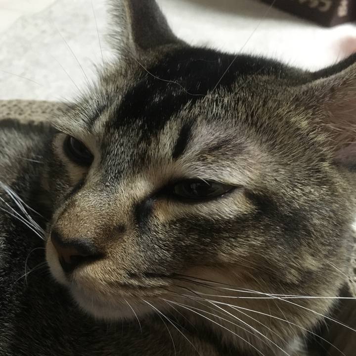 Ee086661 8565 4314 9e74 2d15a11e83e0