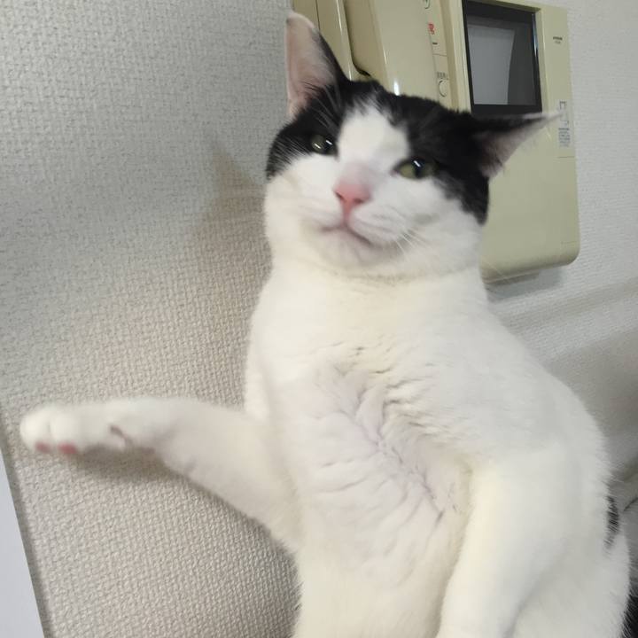 Ee09cdee 39ee 47fd 8c3f 78ac64cd64f7