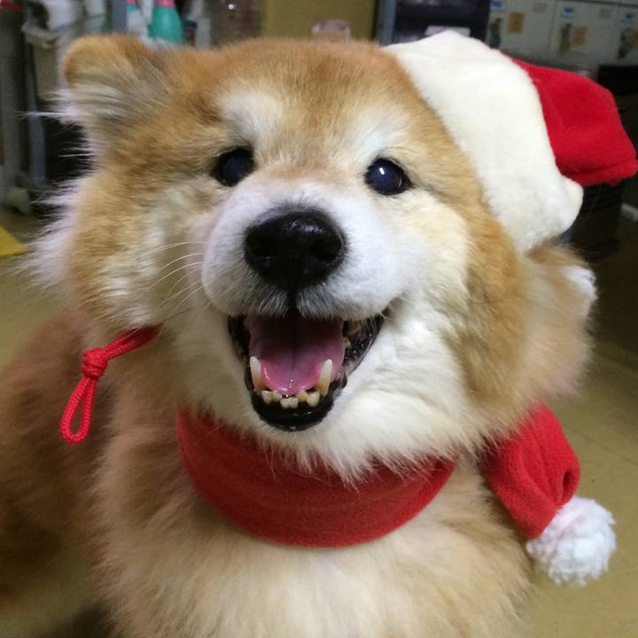 Ee0a070e d9e5 4623 a02b ff502f3be178