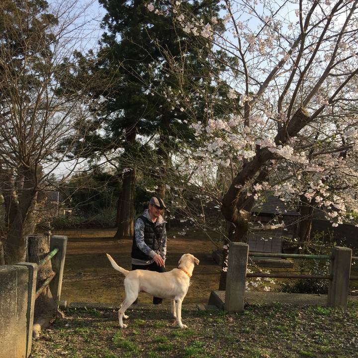 Ee0a5faa b57d 4cff bfbe df174927e993