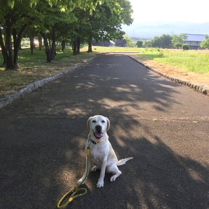 Ee0acf89 3beb 49bc be44 72a775f8161a