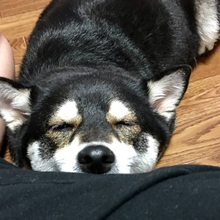 Ee0afef5 8c34 43cf 8d3b d00b918d3492