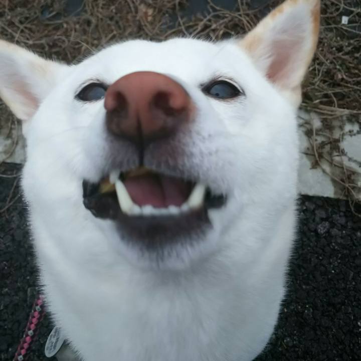 Ee0b2413 79d0 4438 b698 f43719e5d4d0