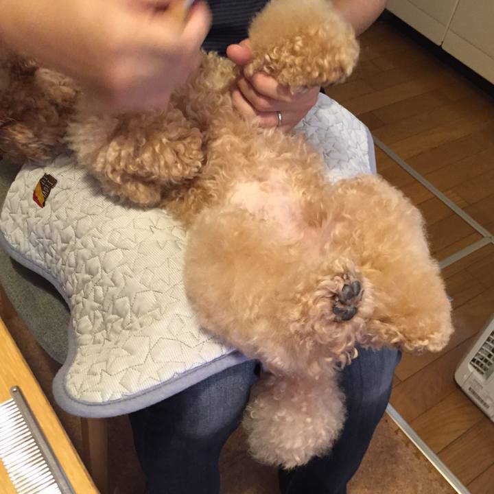 Ee0c41b2 be70 47b6 a775 94b06fde305f