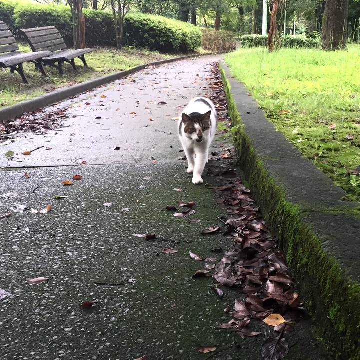 Ee0ca145 9411 4563 9d0f dbdd056bbcc7