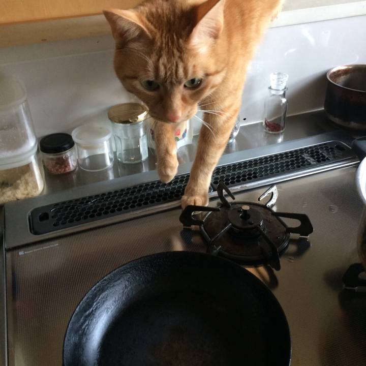 Ee0cfe36 c1bf 4eab b3dd e3648f9c145d