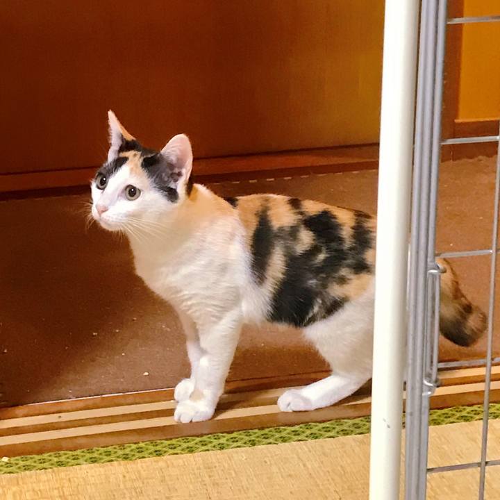 Ee0d04d2 e371 4788 b8eb 2914af11699c