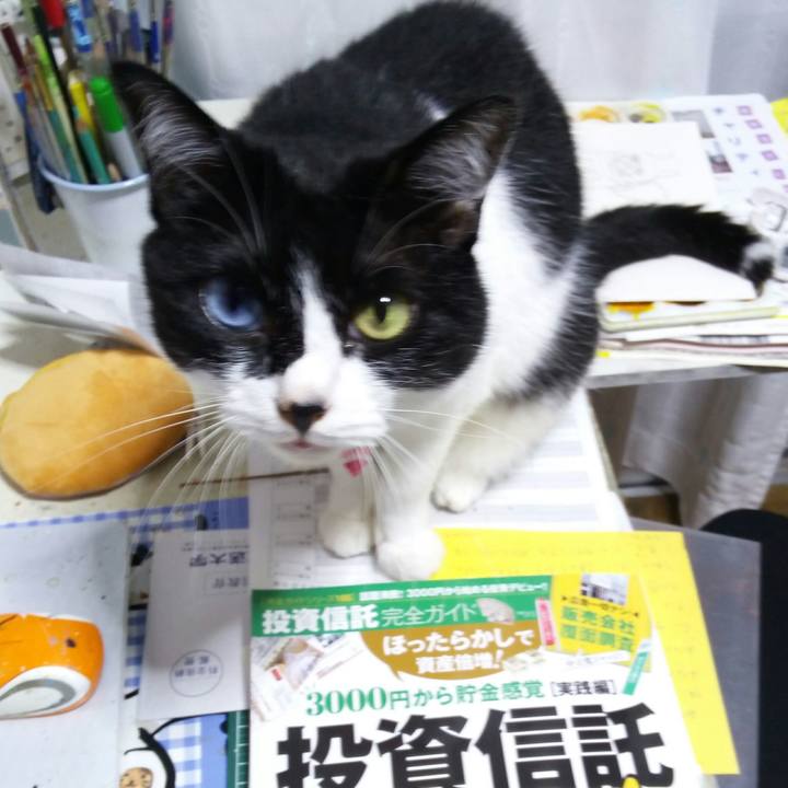 Ee0ddc84 93fa 4ade 8577 0a4d89d6d9d2