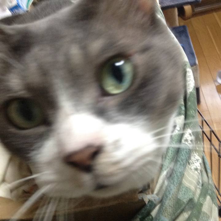 Ee0dfca7 6f52 406c a80d 3aea89ca9f71