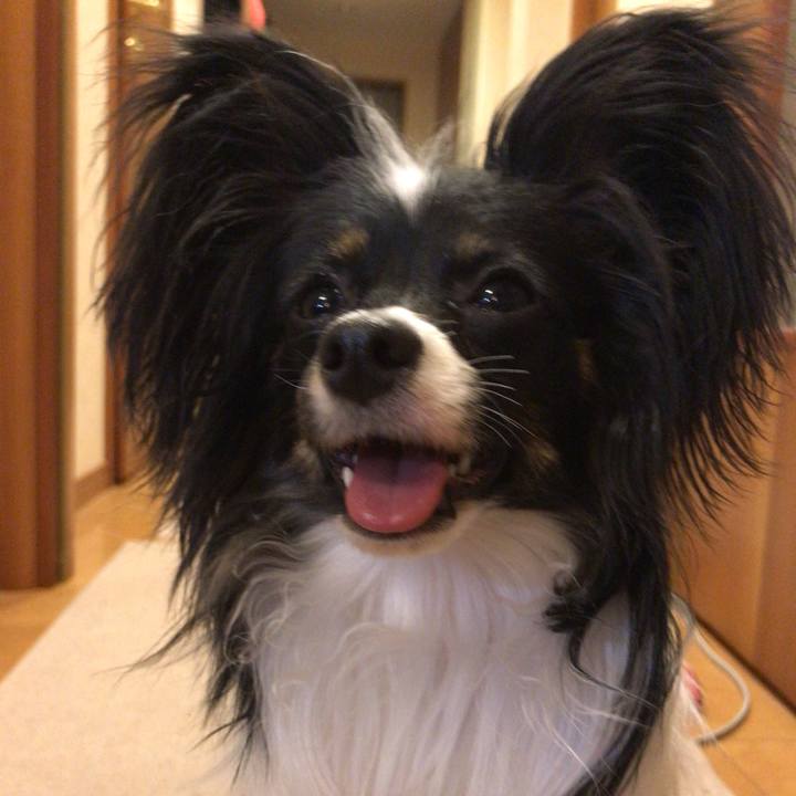 Ee0e3f0b 7974 4fdf b0e2 42c0a7d16de0