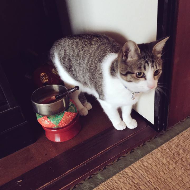 Ee0e426b 8d14 4139 bd2e 25e5ac15fc7f