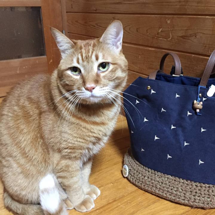 Ee0e6fe2 3934 4ca5 882f bfee221de892