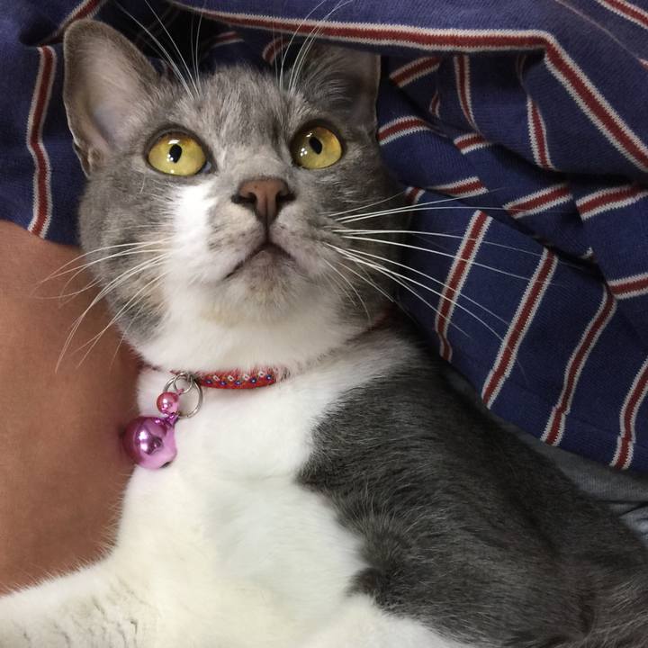 Ee0e94a5 8d2c 4acf 976e 18a399b95f34