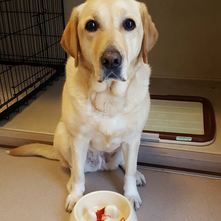 Ee0f36cd 6a5b 4f02 a7ab 749ab4a7efae