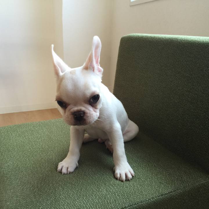 Ee0f9f09 96dc 48d4 a837 3d674b3dcf34