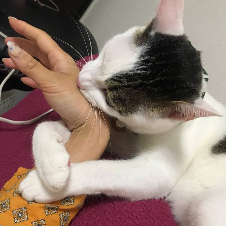 Ee0fb108 92ee 4e96 9d7d 6be8d9a3cb8f