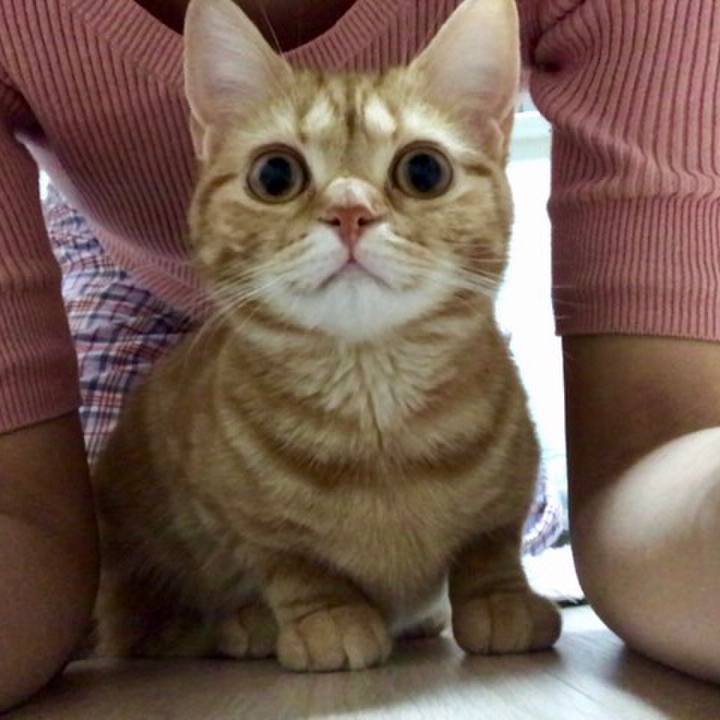 Ee0fd195 b2c1 433c 8cd1 fc6854cdefc2