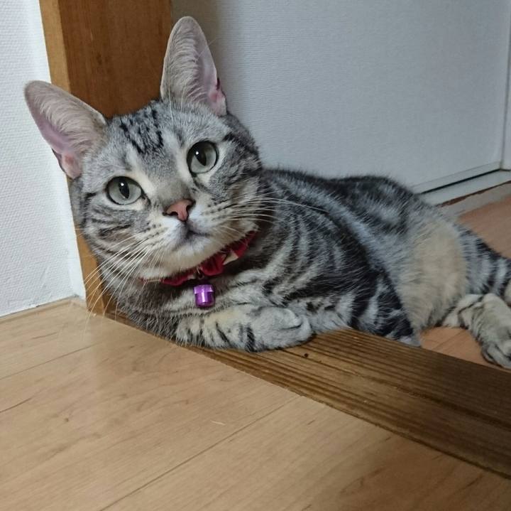 Ee0fd485 14cb 43c5 927c b22d19588fa6