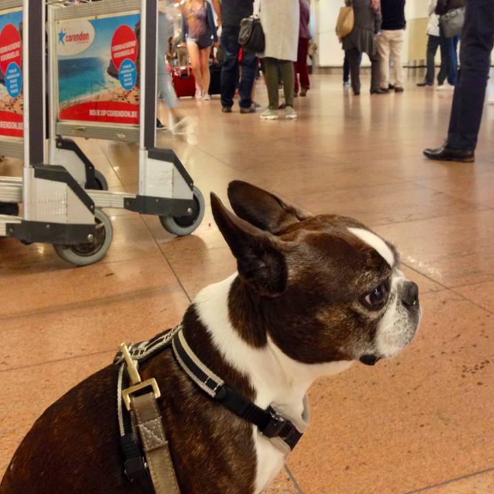 Ee1002b6 e2be 496b 8da6 ff6fcfaed92d