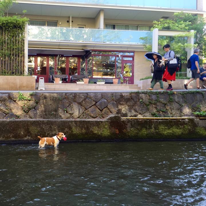 Ee103aec 24c1 4a4a 889a d6aaaf90a793