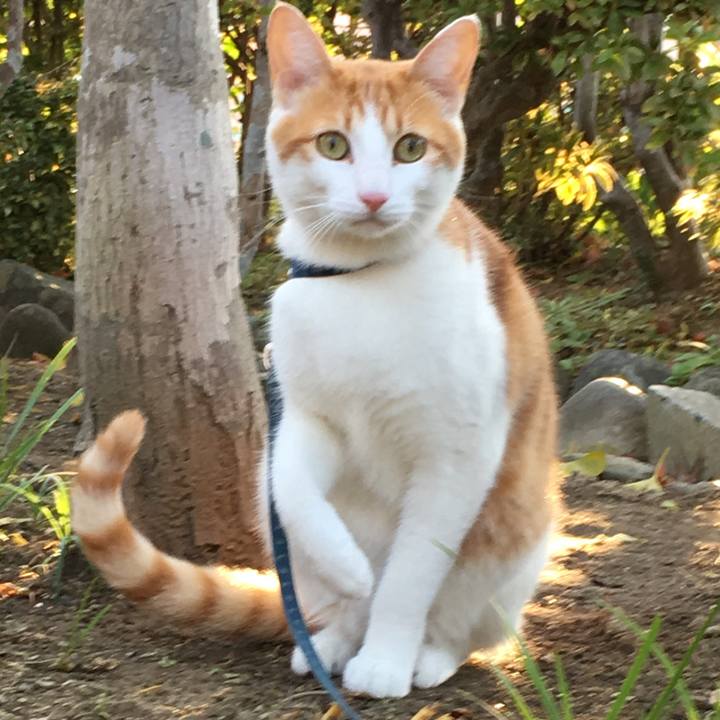 Ee10ff39 68bc 43bf 8795 fa98940bff3d