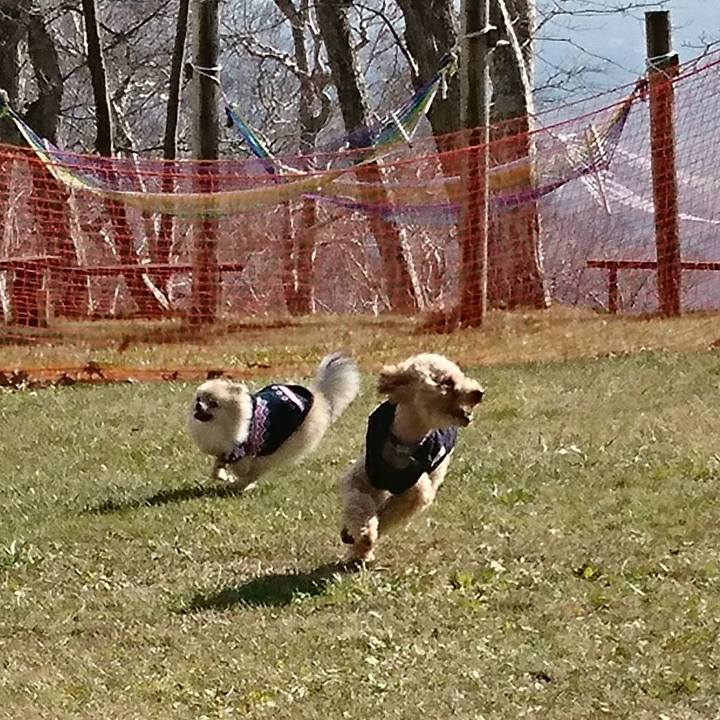 Ee110ed8 c2ae 4d03 ae55 e47ea2a84e99