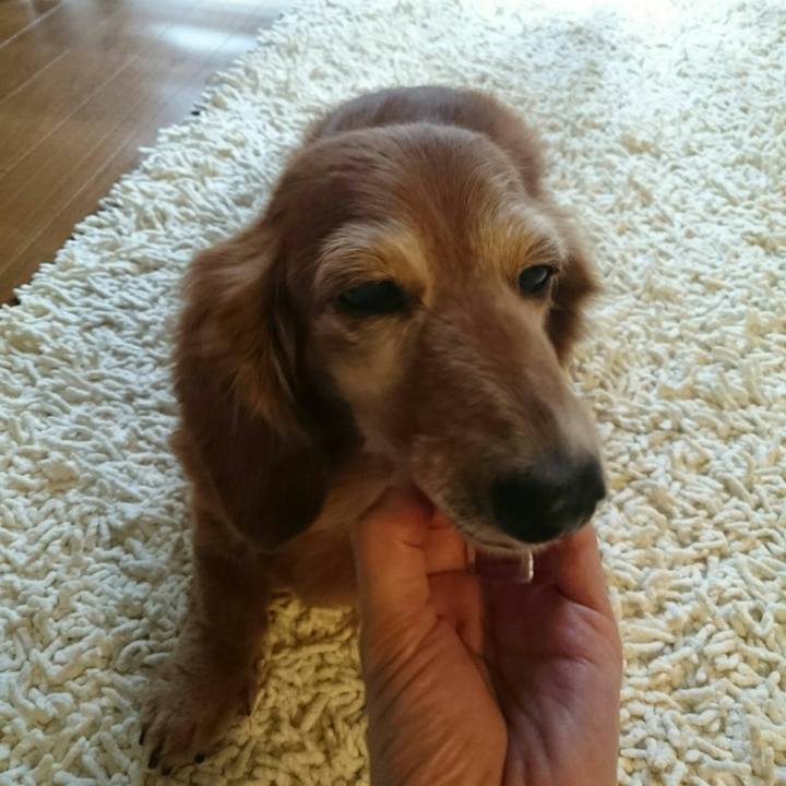 Ee1136d3 b7dd 4e8f 898b 254afb1cee38