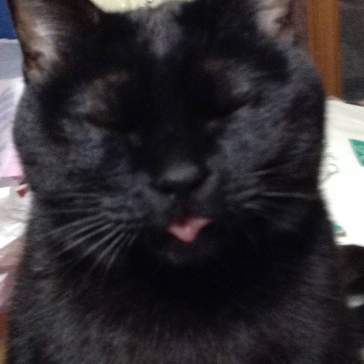 Ee1283b8 c7dd 4a24 977f 3bd0e85e8101