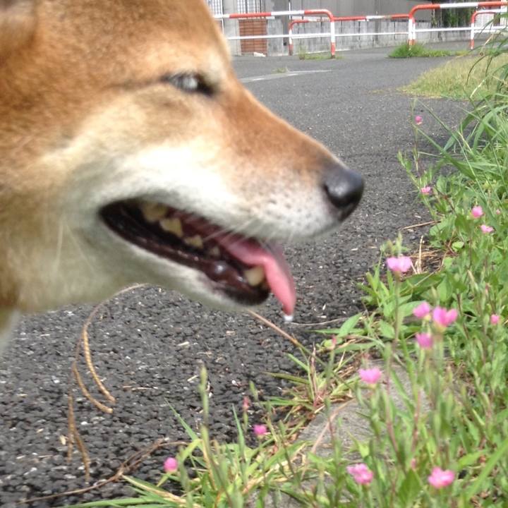 Ee129071 2034 4d7e a466 0616771eafab