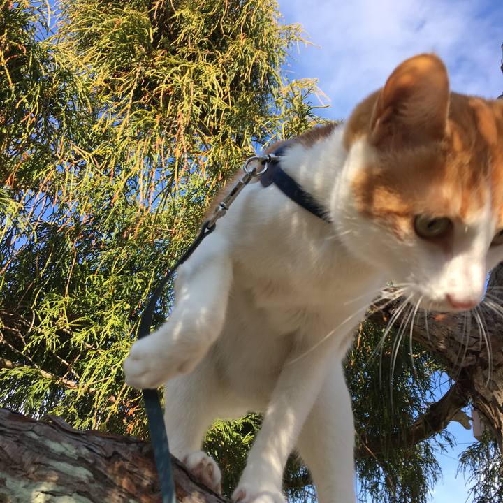 Ee12a1da cca9 41eb 8045 88359b110388