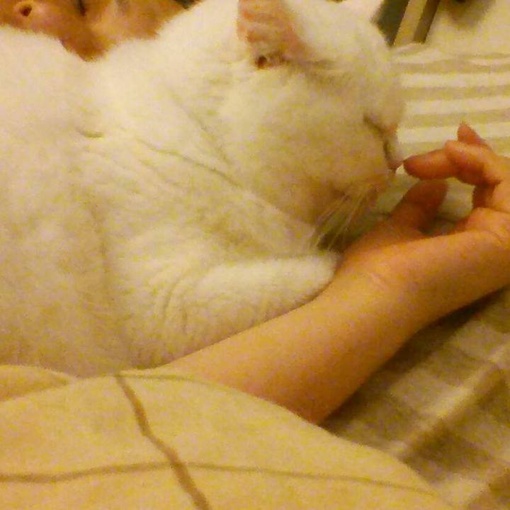 Ee157a4b 45f4 473d a89a 186ac68cb176