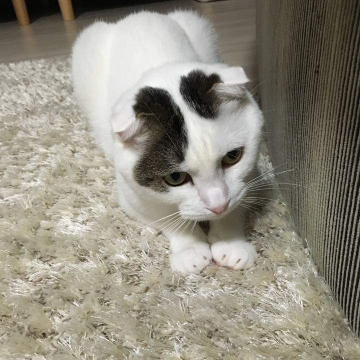 Ee15ad2d 6e43 4801 959d 5b832b0e5e81