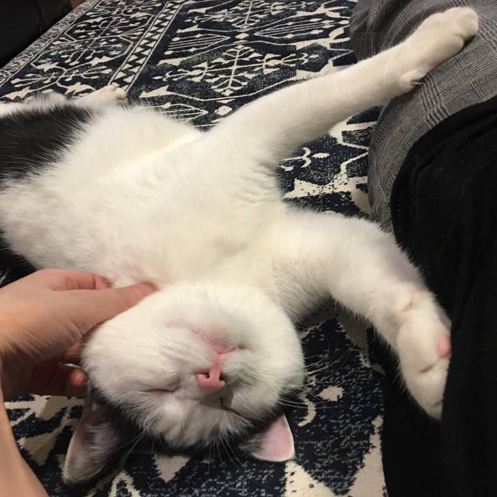 Ee15bd1a ac00 4c6b 8835 10205b8c8c36