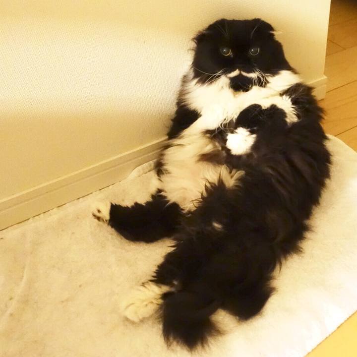 Ee168c89 5699 41fd aa08 0da5c8be8991