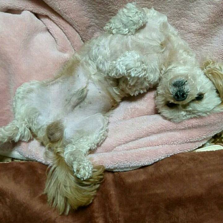 Ee16b93b a2ca 439b bcda 3730aa3b72ee