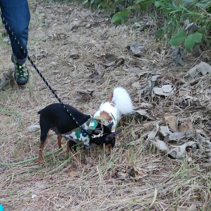 Ee18b578 08d1 484c a6f9 6d9f418b9df9