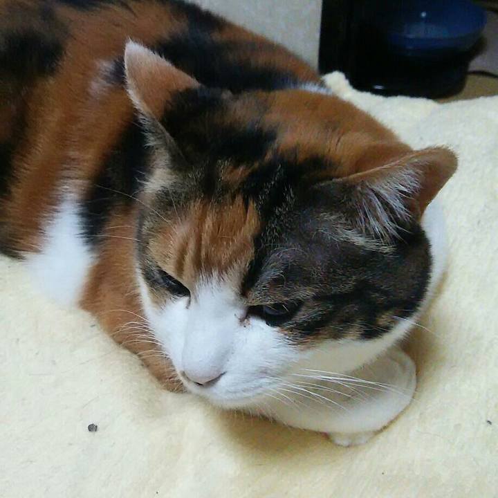 Ee196cba f801 4d02 8e20 bcef84c98393