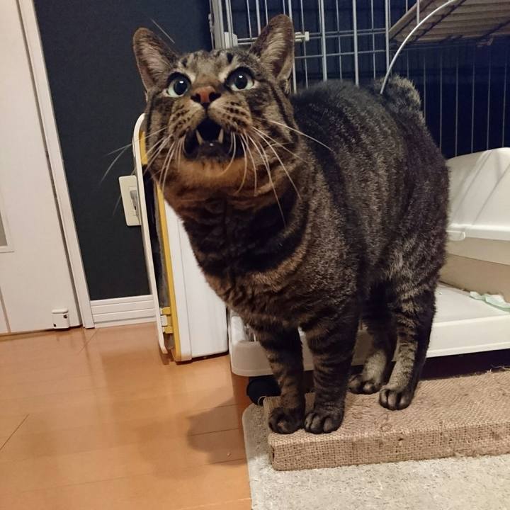 Ee197d5c c5a8 4ccd a4b9 448970fcb22a