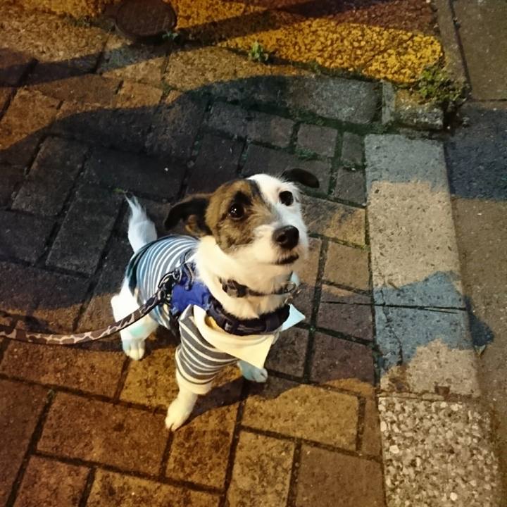 Ee197f64 87b1 40cb 8080 ecea977b8238