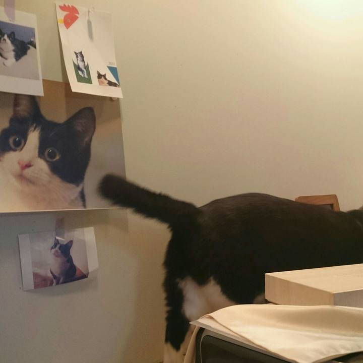 Ee1b4cda ae20 4a76 8c91 3e6049e11ca7