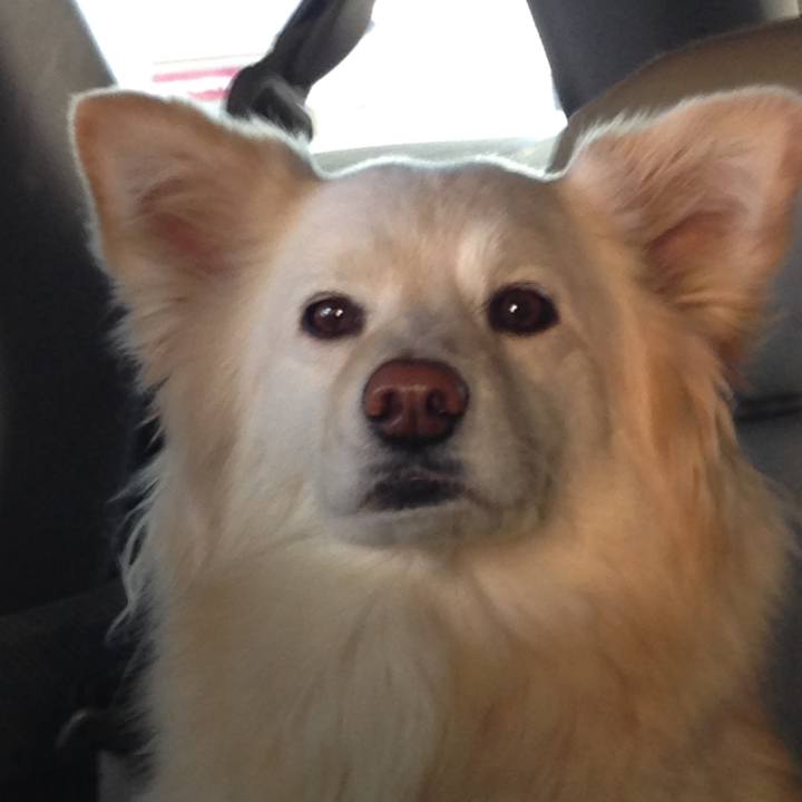 Ee1b4fec c57b 4419 9d2c 32fc4bf2d942