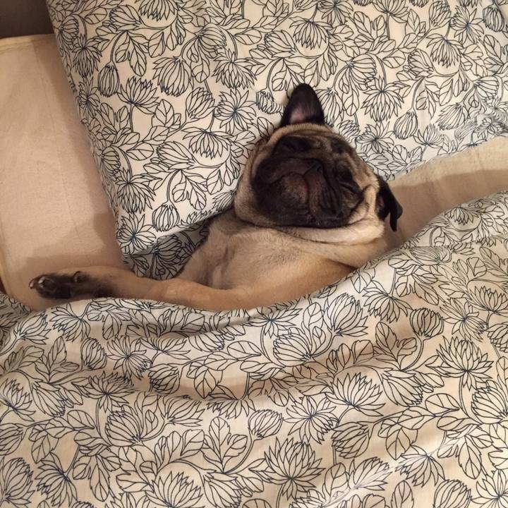 Ee1c134b 7c07 4624 a24d 2d065f88ce81