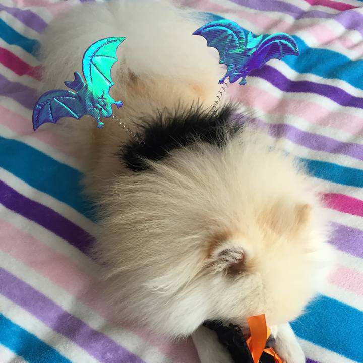 Ee1c1973 1daa 4d3a a789 85e469b0ba95