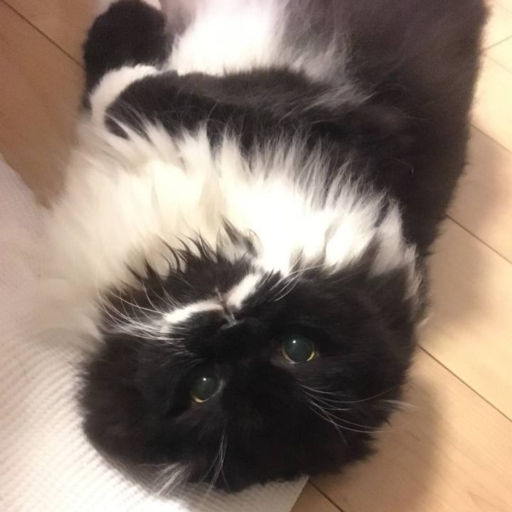 Ee1dd178 778d 405f a143 0486a5c58e43